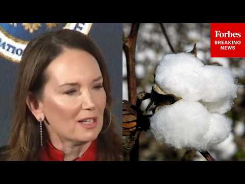 Brooke Rollins Lays Out Goals Of 'Great American Cotton Plan' And Cotton's Impact On US Economy