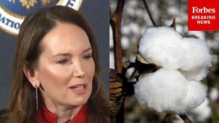 Brooke Rollins Lays Out Goals Of 'Great American Cotton Plan' And Cotton's Impact On US Economy