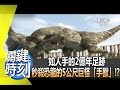 如人手的2億年足跡 秒殺恐龍的5公尺巨怪「手獸」！？ 2014年 第1807集 2300 關鍵時刻