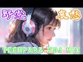 1哀愁好きが選んだ (野党TECHNO・EURO DANCE) VDJ MIX