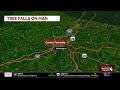 Dispatch: Coroner responds after man becomes pinned under tree in Washington County