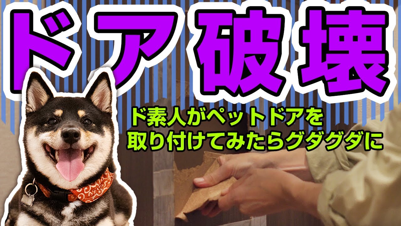 【ペットドア 取り付け】ドア破壊！？柴犬用ドアをサクッと取り付ける→超絶グダグダに【豆柴】