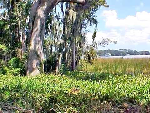 5580 Steamboat Rd, St Augustine, FL home video tour