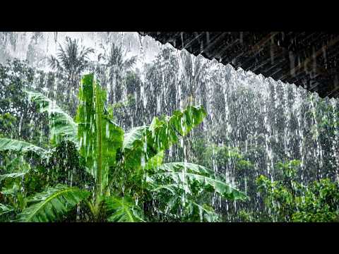 Heavy Rain Streaming From a Countryside Roof  The Comfort of a Quiet Village Retreat