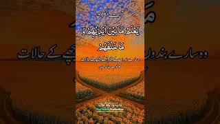 Ayatul-Kursi آیت الکرسی #shorts #ayatulkursi #alquran #islamicproductions #viralvideo