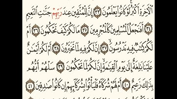 سورة  القلم مرتلة كاملة /بصوت القارئ بارق العبيدي