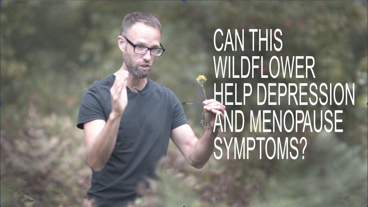 St. John's Wort Can This Wildflower Depression and Menopause