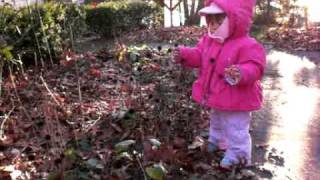CIMG5609.AVI