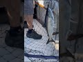 Fish caught in bait or netviral fishing freak trending youtubeshorts shorts