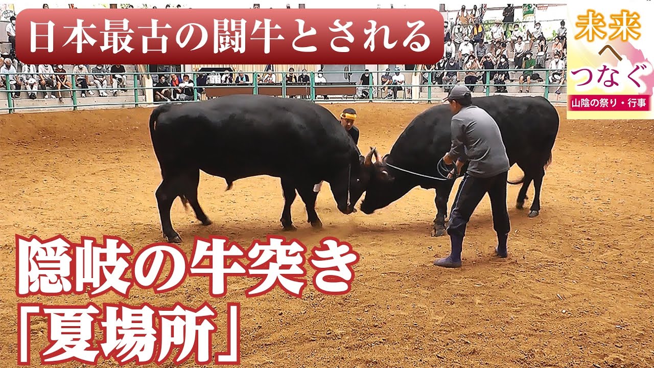 越後関牛の緑起 美濃和紙に田中秀光の真作、闘牛の縁起説明文付き送料無料 動画あり】未来へつなぐ 山陰の祭り・行事〈2〉 隠岐の牛突き（隠岐の