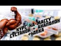 МОЩНЫЙ КУРС НА МАССУ. СУСТАНОН + АНАПОЛОН + ДЕКА