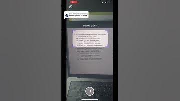 bet. #photomath #chatgpt #ai #studyhack #studytips