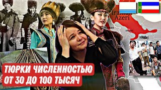 ТЮРКСКИЕ НАРОДЫ ЧИСЛЕННОСТЬЮ ОТ 30 ДО 100 ТЫСЯЧ // Хакасы, Алтайцы, Халаджи, Эйну