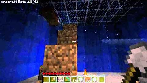 Minecraft beta 1.3 Bed Bug