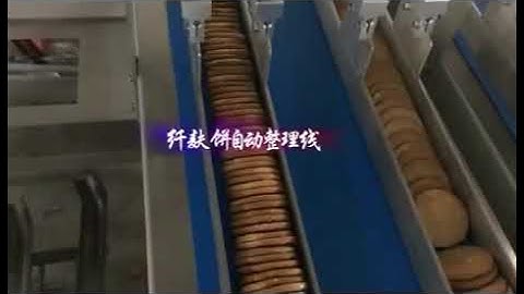 Biscuit flow wrapping machine, biscuit horizontal packing machine, cookies packing equipment