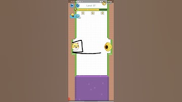 Save the Doge Levels 37. Save Animals walkthrough for Save the Doge answers solutions. #savethedoge#