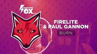 Firelite & Paul Gannon - Burn  Resimi