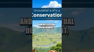 The Enigmatic Life Of Peter Woo Hong Kongs Real Estate Titan