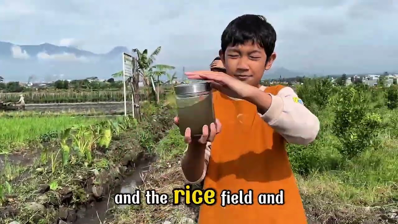 Unveiling Microplastic Concentrations in the Irrigation System of Rice Field Waters of Malang City