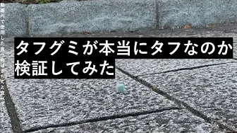 タフグミに拷問！？