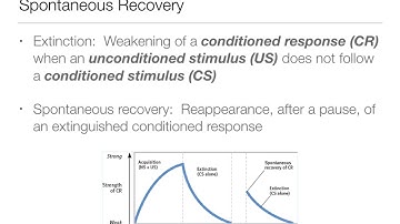 Intro to Psych: 6.1 Learning - Classical Conditioning