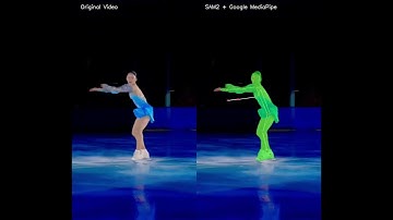 Human Pose Estimation and Semantic Segmentation: Integrating Google Media Pipe with SAM2