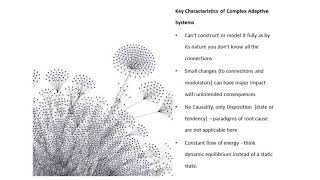 The Role of Complex Human Systems Methods in WHS