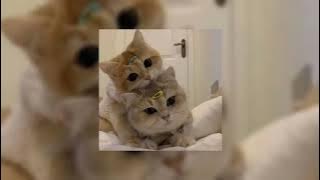 Lebih Indah-Adera//(speed up)