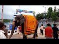 Auspicious Akshaya Tritiya Darshan of Lord Venkateswara 🙏| Thiru Veedhi Utsavam | Malayappa Swami 