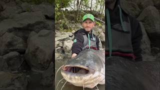 danger catch 🎁🎣🐟😨 #fishing #shorts