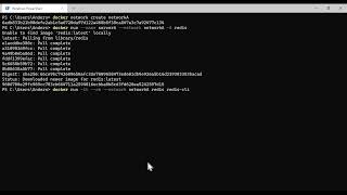 Docker | Redis : network, client, server | Intro Profile