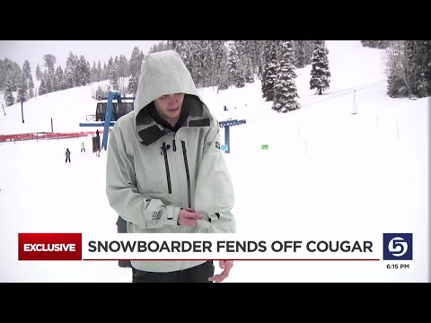 Cache Valley man fends off cougar attack with snowboard