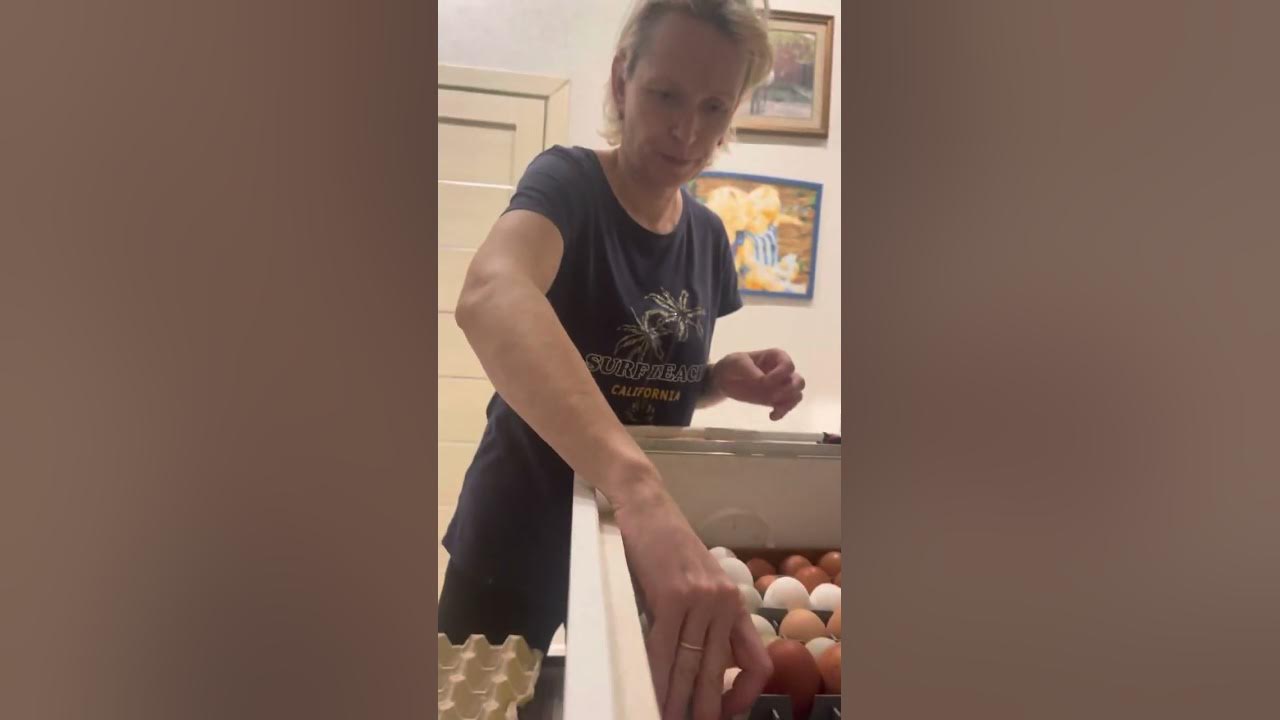 Инкубатор Норма Лупер закладывание яиц & egg incubation - YouTube