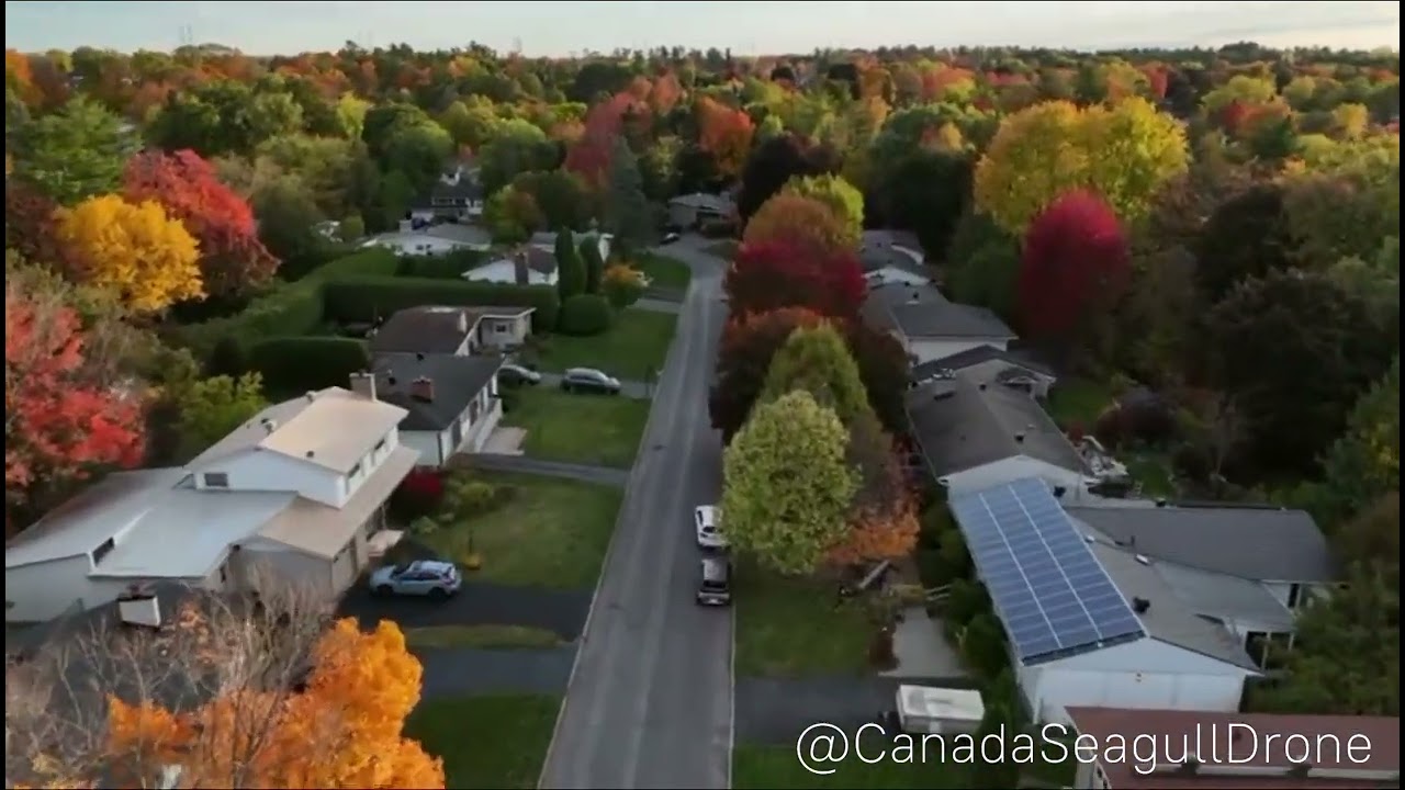 Random Ottawa Street