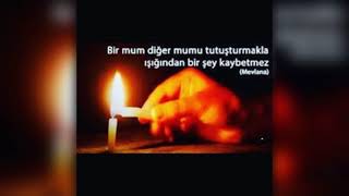 Farıs Bave Firas Kesim Tinne (3)