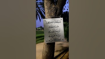 ادعمو قناتي لننشر معًا نور القرآن الكريم في كل مكان