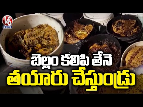 Fake Honey Manufacturing Gang Nabbed | V6 News - V6NEWSTELUGU