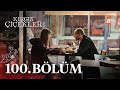 Kırgın Çiçekler 100. Bölüm