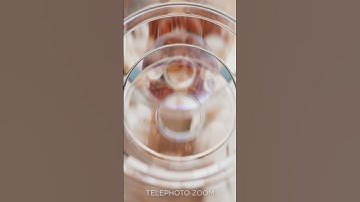 Flip the script with the new motorola razr 50 ultra.