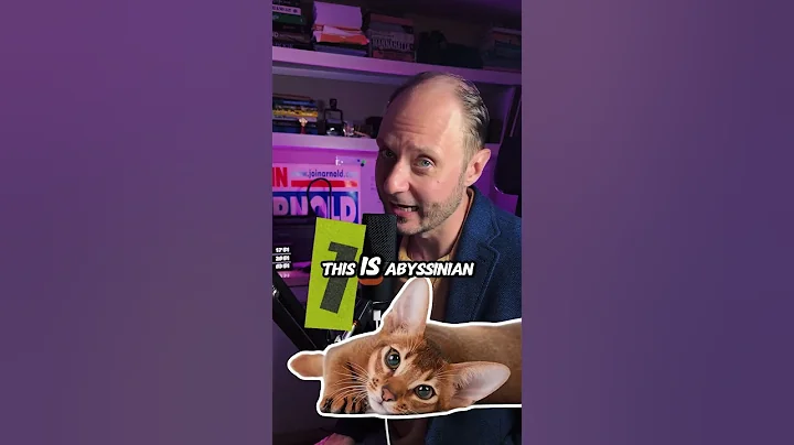 Watch the video about TOP 3 smartest cat breeds #TopCatBreeds #Sphynx #Bengal #Abyssinian #CatLovers #Cats #cutecat