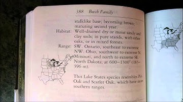 Tree Idendification  HOW TO VIDEO