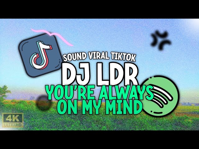 DJ YOU'RE ALWAYS ON MY MIND || DJ SHOTI LDR BACKSOUND SI IMUT class=