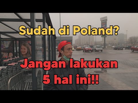 Video: Apa Yang Harus Dilihat Di Polandia