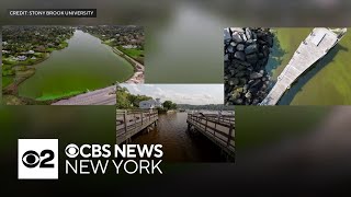 Famous Health threats like flesh-eating bacteria threatening N.Y. waters, research says Wealth