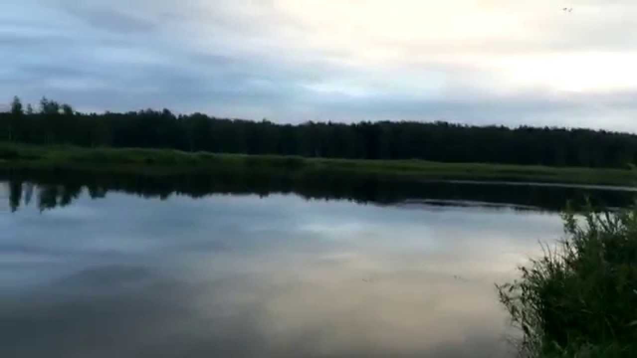 Приложение волга конаково