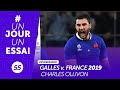 France  pays de galles 2019  charles ollivon unjourunessai