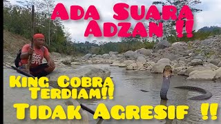 King Cobra Monster !! di kira tiang telpon di bawa air sungai 😱😱 !!