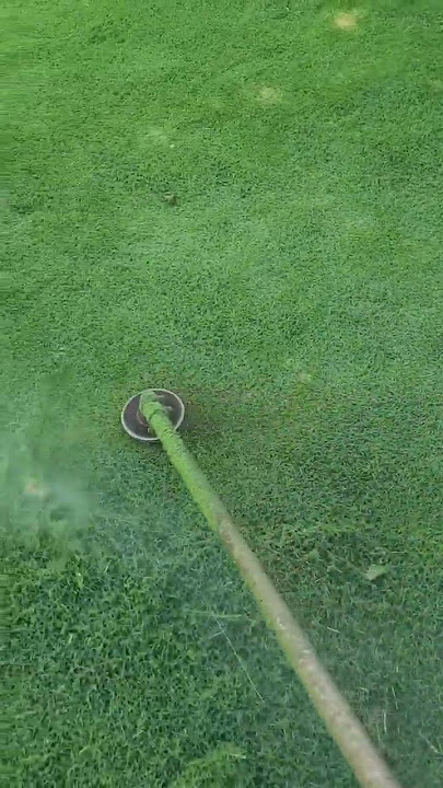 how to cut bermuda with a weedwacker