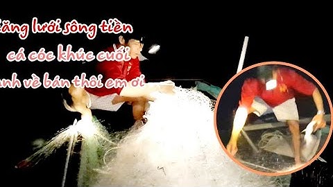 giăng lưới sông tiền.cá cóc khúc cưới