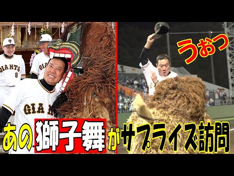 あの獅子舞がサプライズ訪問！
